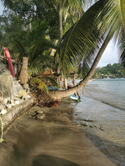 2021 Carribean Laborie Bay