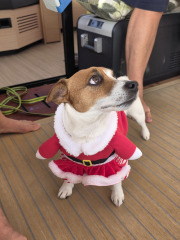 day-7-20251130_080635