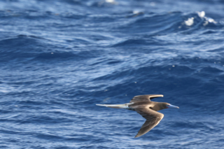 day18-finish-IMG_3026-2