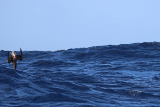 day18-finish-IMG_3161-2