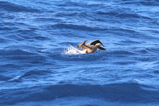 day18-finish-IMG_3171-2