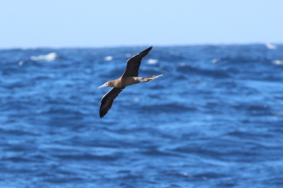 day18-finish-IMG_3184-2