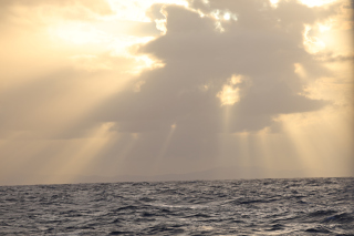 day18-finish-IMG_3271