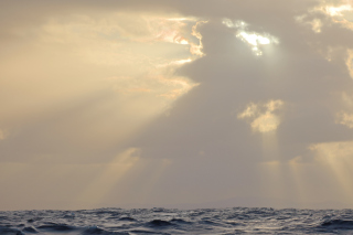 day18-finish-IMG_3272