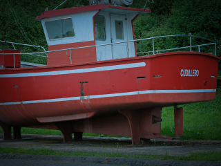 Cudrillo_0875