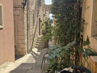 tiit-korcula-kouts-hommikune-uinak-20250614_101808
