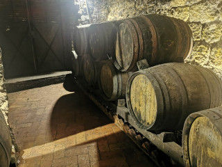 del-notario-IMG_20250611_112450