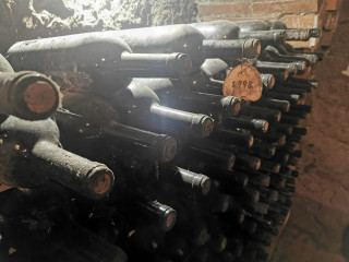 del-notario-IMG_20250611_113320