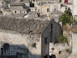 IMG_1380