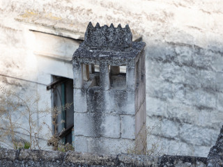 IMG_1384