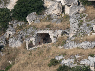 IMG_1416