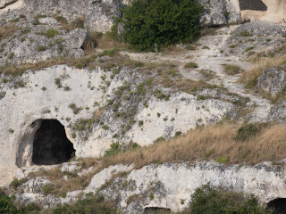 IMG_1429