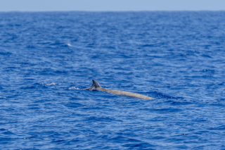 2025 Middle of Nowhere