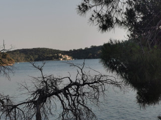 IMG_20250614_190808