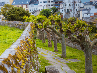 Ribadeo_0916