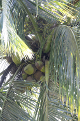 IMG_3634
