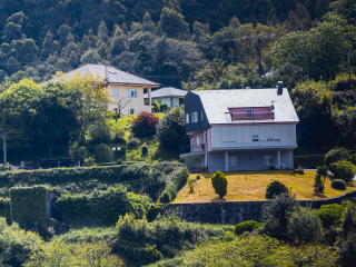 Viviero_0962