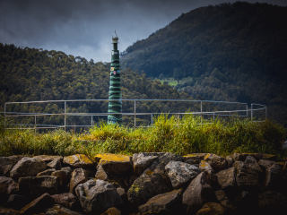 Viviero_0966