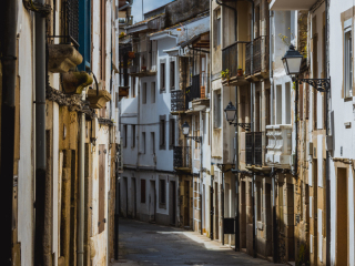 Viviero_0975