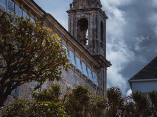 Viviero_0981
