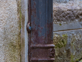 Viviero_0984