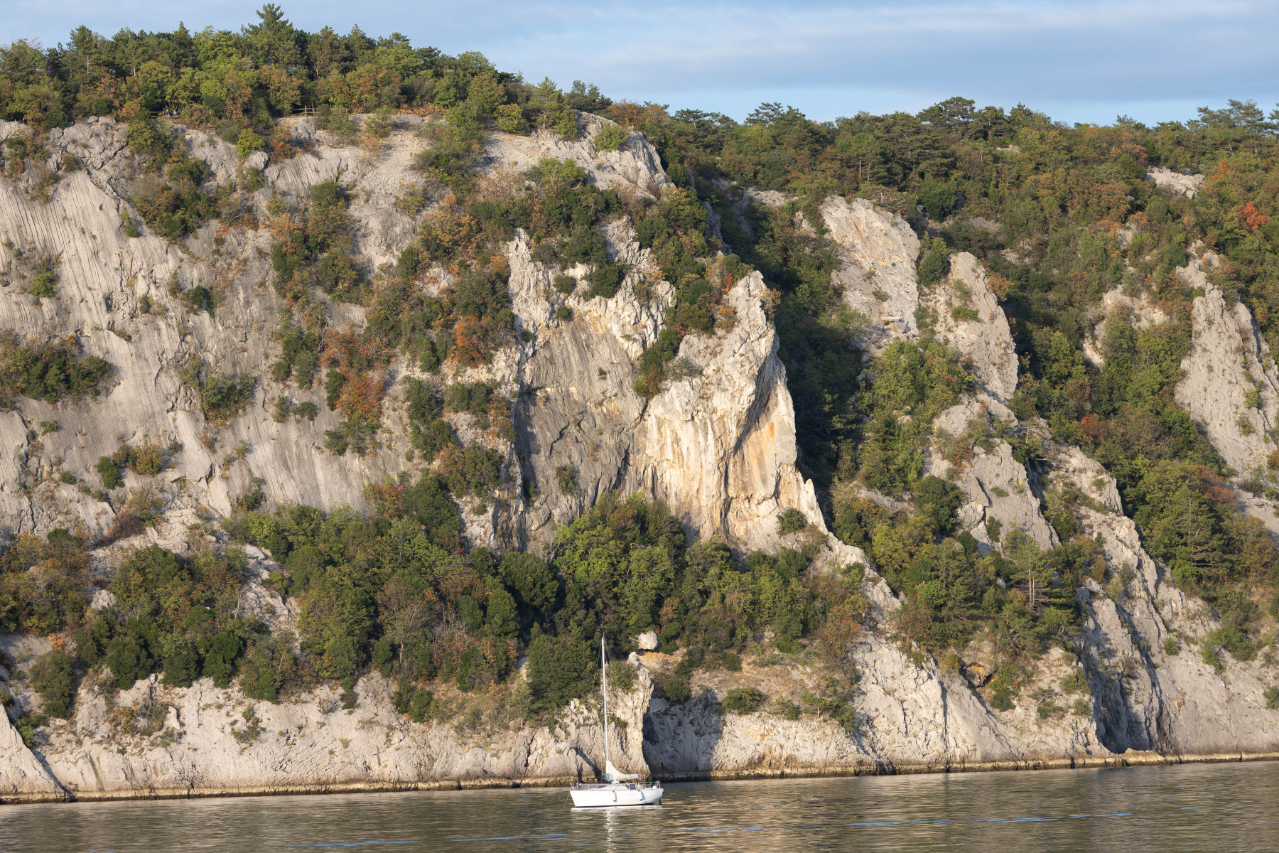 MonfalconeIMG_6152