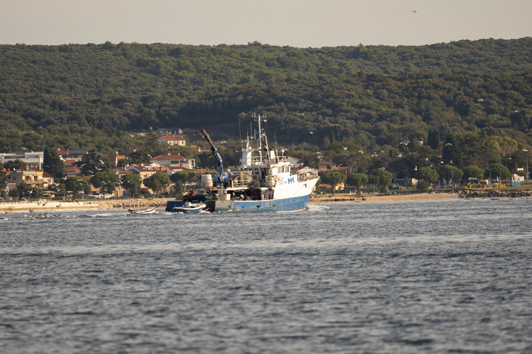 RovinjIMG_6082