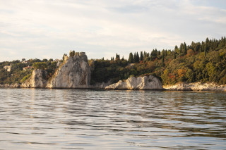 MonfalconeIMG_6149