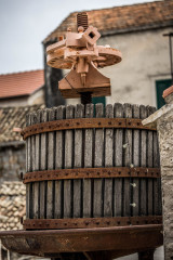 IMG_4967