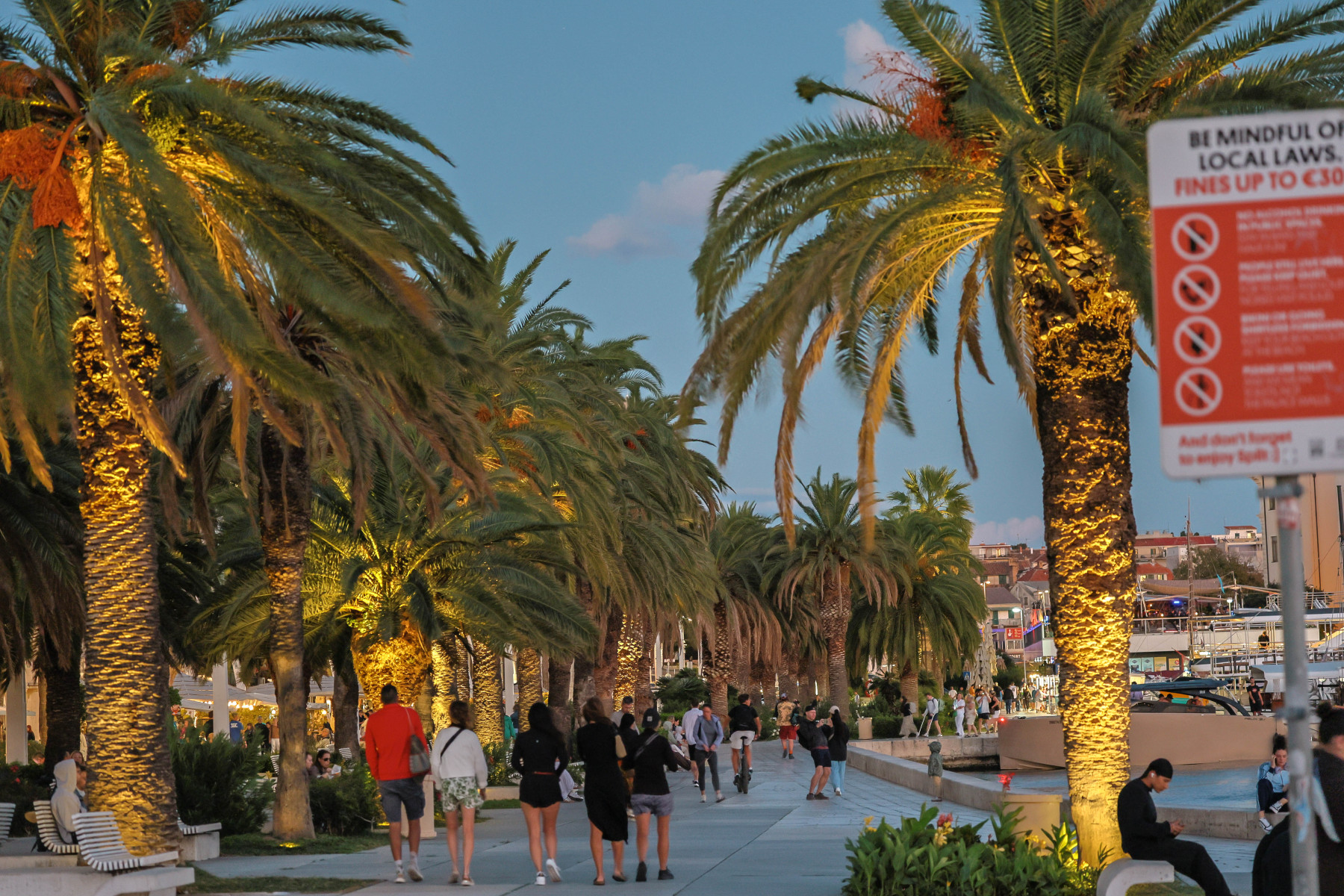 split-IMG_5935