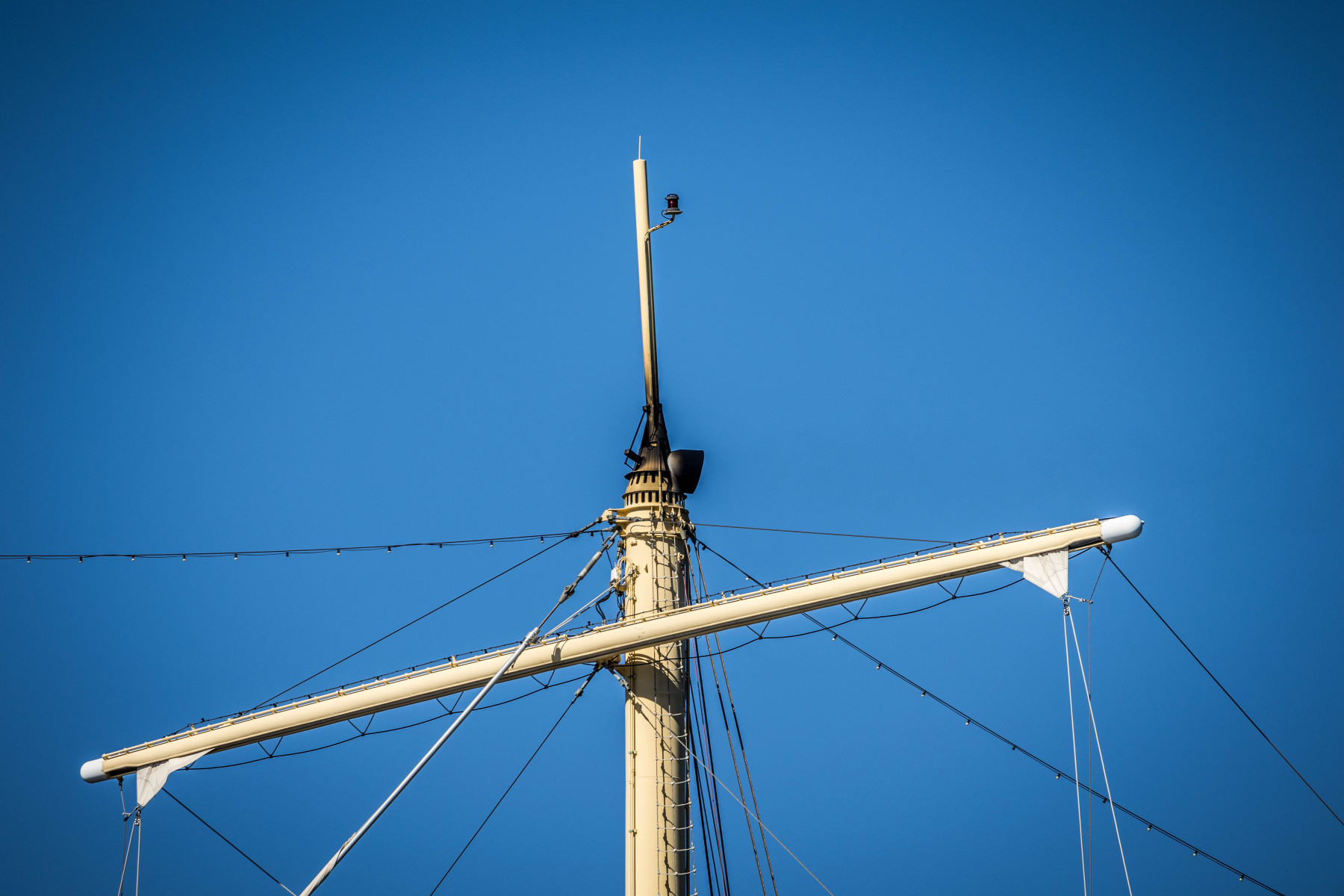 split-IMG_5953