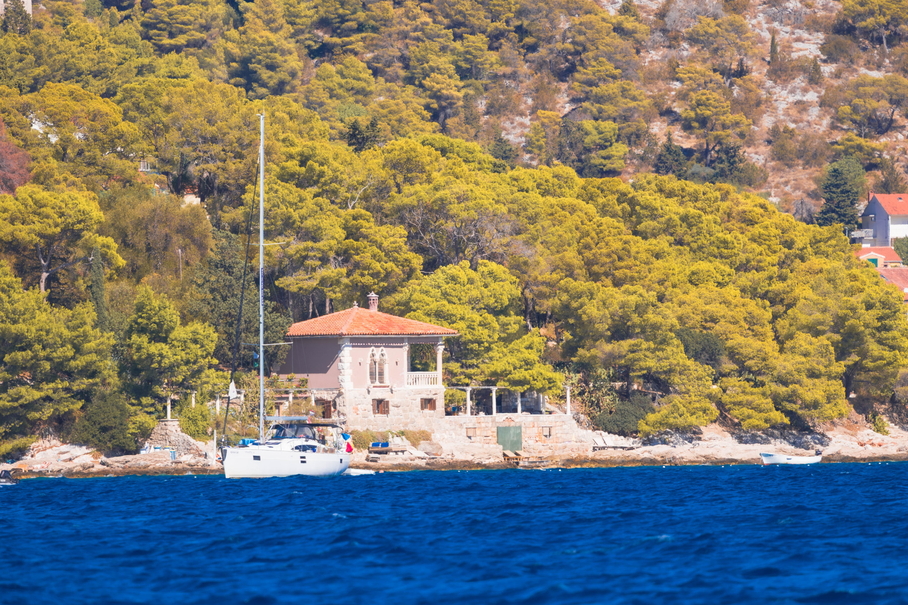split-IMG_5962