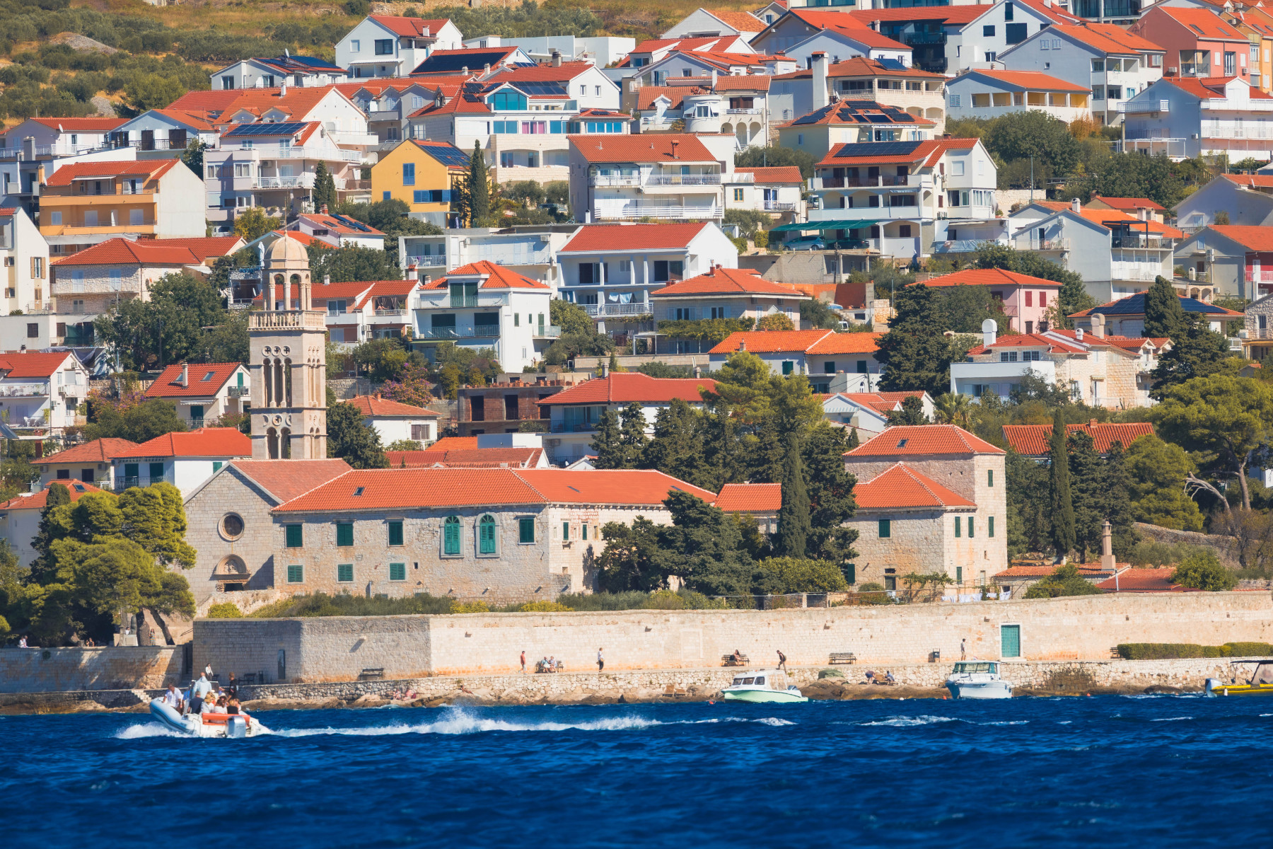 split-IMG_5963