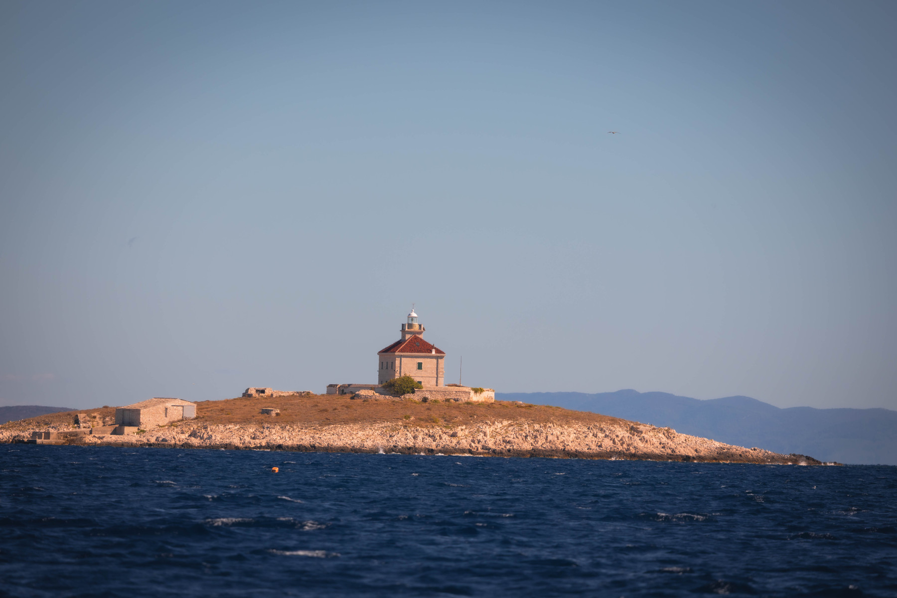 split-IMG_5966