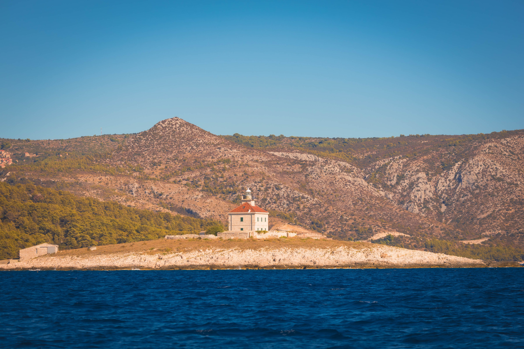 split-IMG_5967