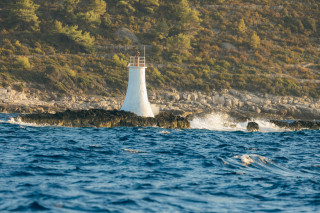 hvar-IMG_5853