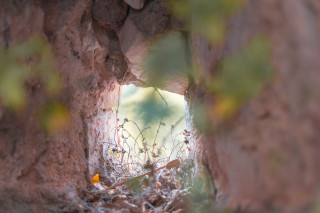 hvar-IMG_5914