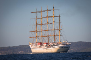 split-IMG_5942