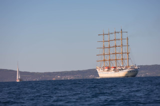 split-IMG_5946