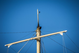 split-IMG_5953